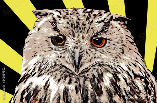 Royal Owl