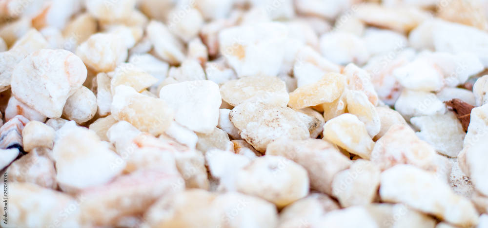 White pebble stone texture on the ground. White pebble stone texture on the ground.
