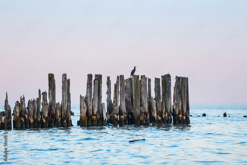 Blue hour at the sea. Beautiful and tranquil sunset over the sea Blue hour at the sea. Beautiful and tranquil sunset over the sea