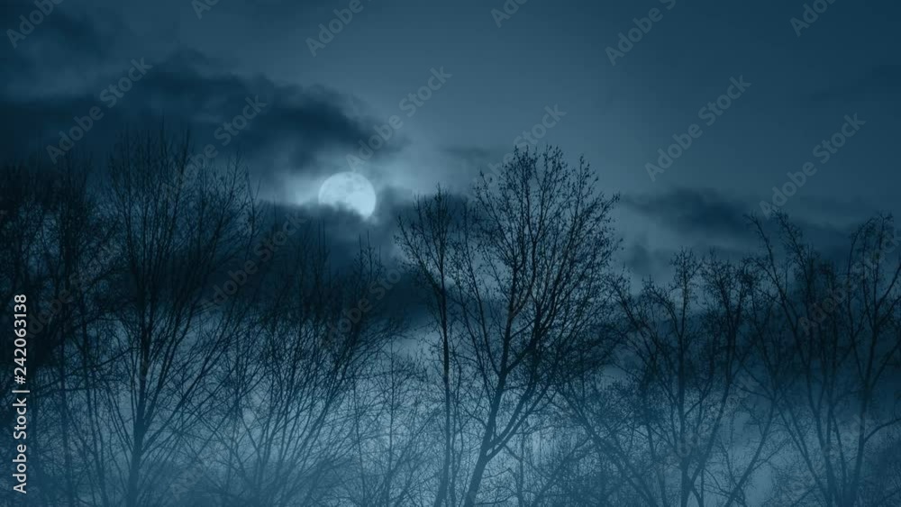 Spooky Halloween Forest at Night With Full Moon