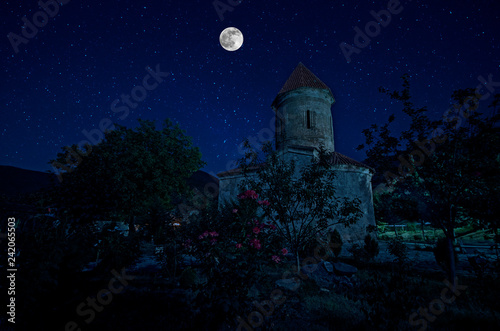 Mysterious medieval castle and the cathedral church at night on a background of the full moon