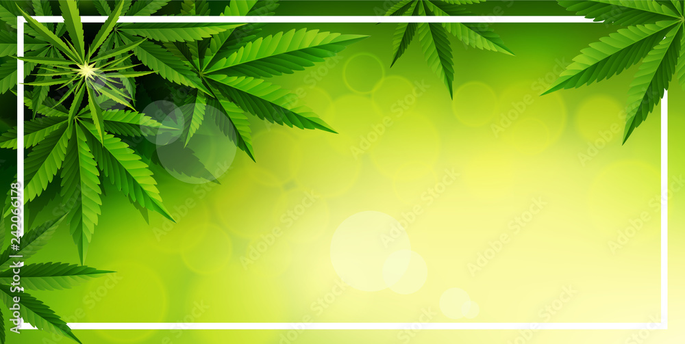 custom made wallpaper toronto digitalgreen cannabis leaf drug marijuana herb Background.