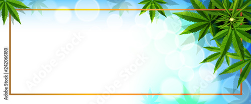 green cannabis leaf drug marijuana herb Background.