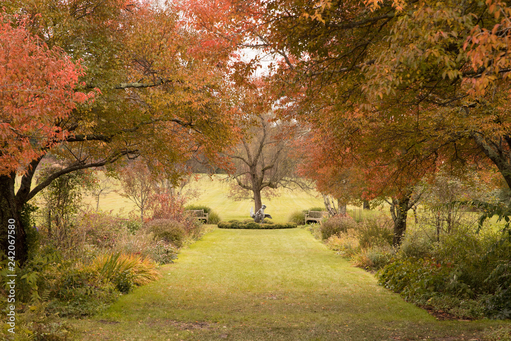 Fototapeta premium Fall Garden