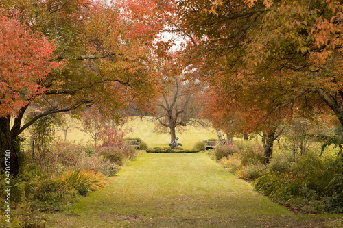 Fall Garden