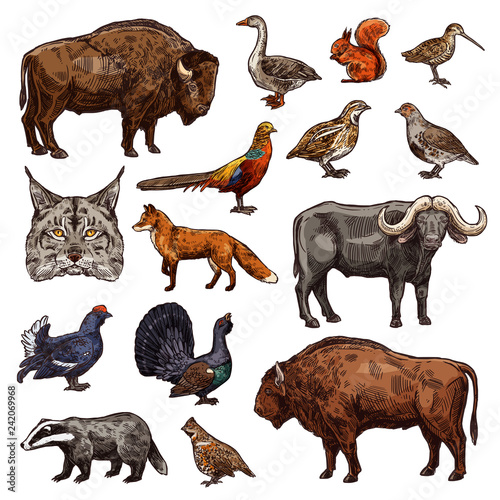 Hunting sport animals and birds sketches © Vector Tradition