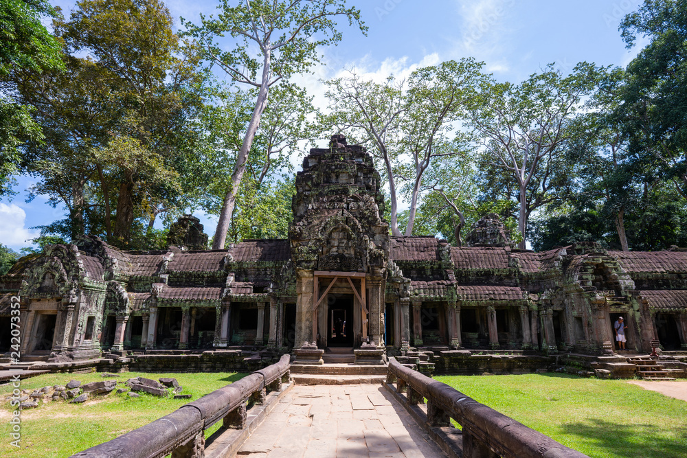 ruins and tetrameles at Ta Prohm temple