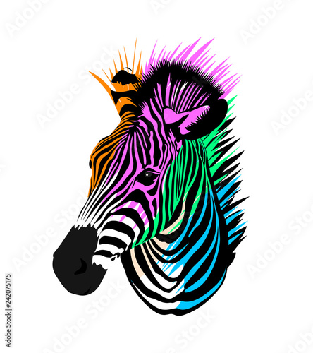 Zebra head. Wild animal  Strip black and colorful. Illustration isolated on white background. fashion zebra face.