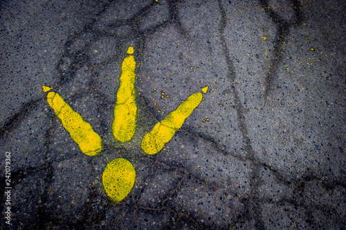 Photography Bird footprint from Turkey Trot on pavement