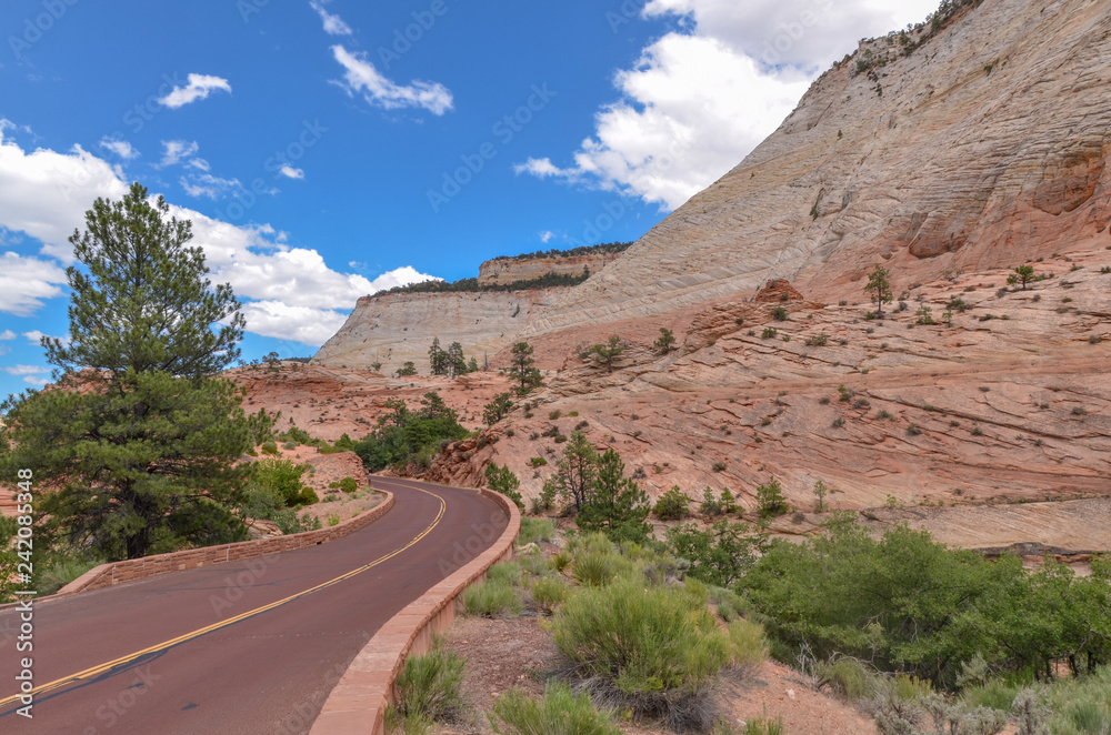 Zion - Mount Carmel Highway passing sandstone mesas and white cliffs of Zion National Park, Utah Zion - Mount Carmel Highway passing sandstone mesas and white cliffs of Zion National Park, Utah