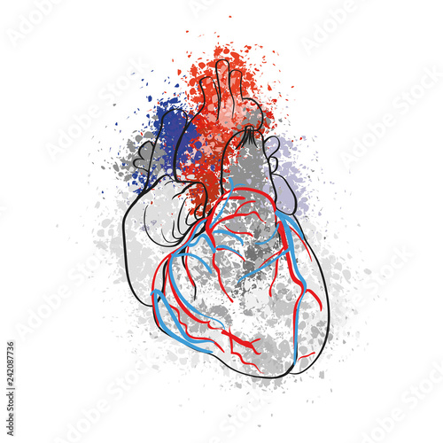 Colorful drawing of human heart