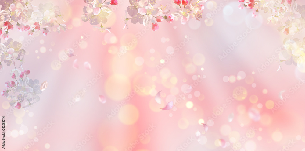 Spring Blossom Background
