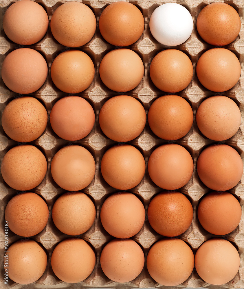 Brown white fresh chicken eggs in paperboard container. Top view Brown white fresh chicken eggs in paperboard container. Top view