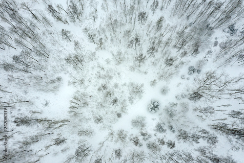 snow covered trees in winter forest. beautiful winter forest background. aerial top view