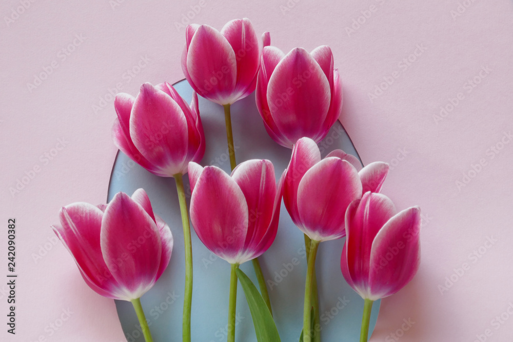 Fototapeta premium Flower card.Greeting card with pink tulips.Valentine's Day. Mothers Day. International Women's Day.top view, copy space.