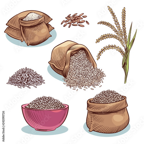 Rice sacks. Bowl with rice grains and ears. Japanese food, rice storage cartoon vector set. Illustration of grain rice seed in sack
