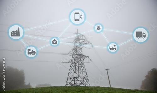 Smart Electricity Grids