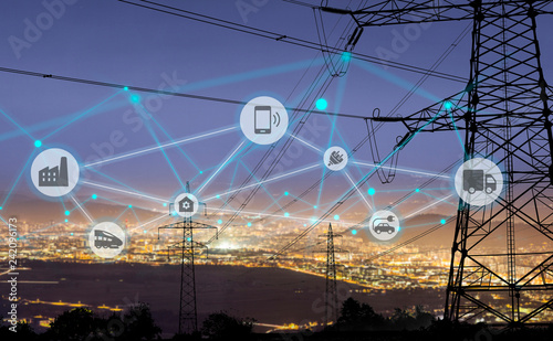 Smart Electricity Grids