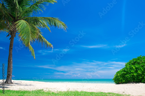 Fototapeta Naklejka Na Ścianę i Meble -  tropical beach in Sri Lanka . Summer holiday and vacation concept for tourism.