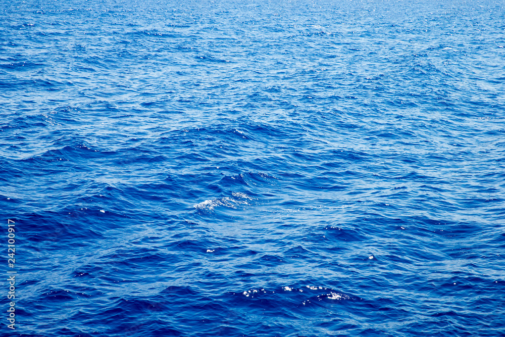 Tranquil underwater scene with copy space Tranquil underwater scene with copy space