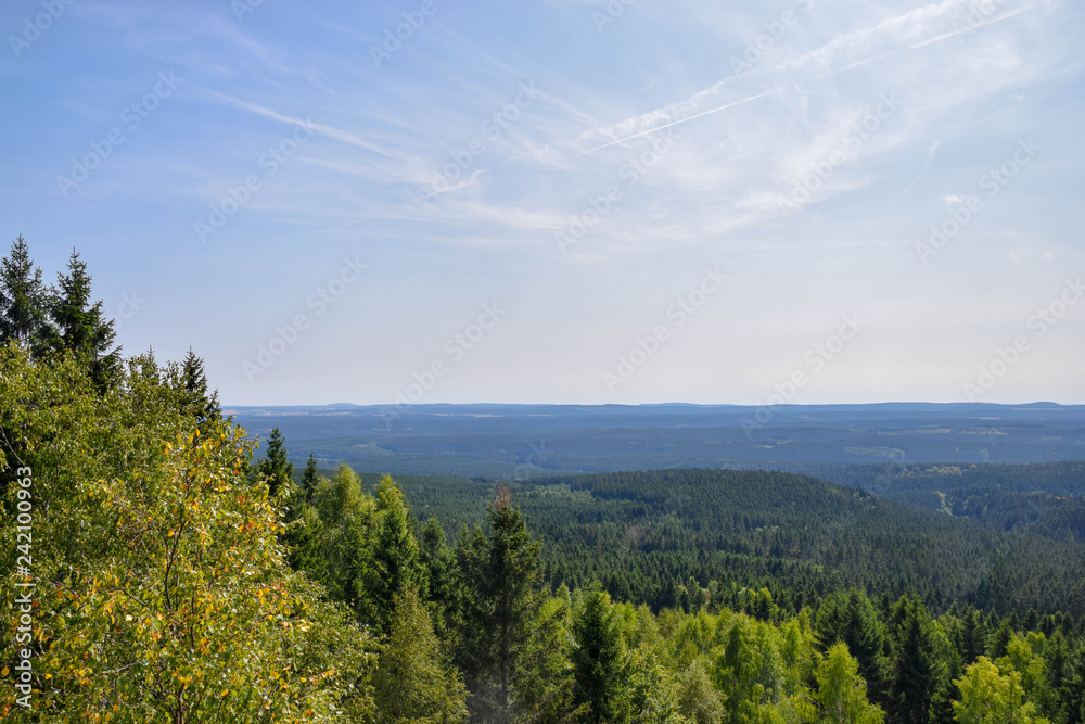 Wald mit blick aufs Tal, Harz, Brocken, Bäume, baum, Wald, Himmel, Sonne, Landschaft