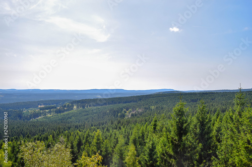 Wald mit blick aufs Tal, Harz, Brocken, Bäume, baum, Wald, Himmel, Sonne, Ferne