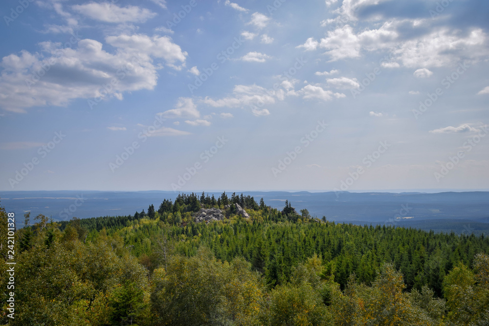 Wald mit blick aufs Tal, Harz, Brocken, Bäume, baum, Wald