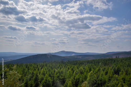 Wald mit blick aufs Tal, Harz, Brocken, Bäume, baum, Wald, Himmel, Sonne