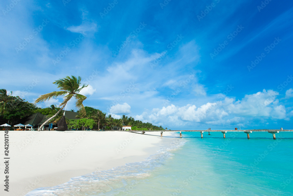 Fototapeta premium tropikalna wyspa Malediwy z białą piaszczystą plażą i morzem