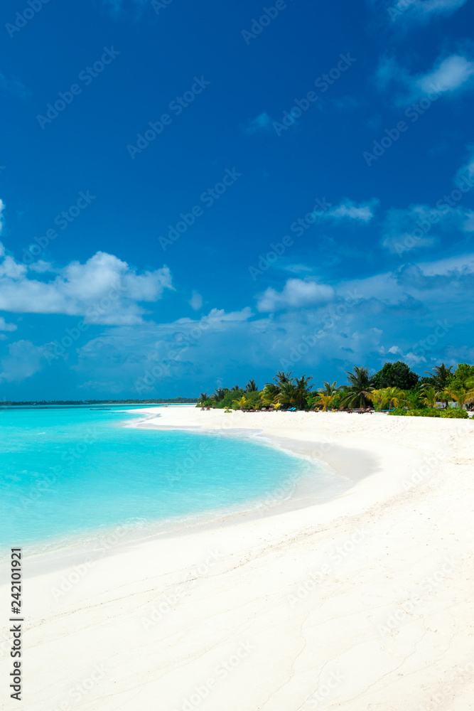 tropical Maldives island with white sandy beach and sea