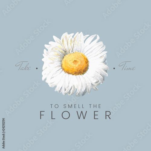 Mountain Daisy quote