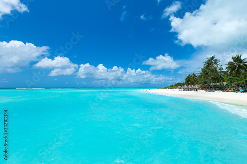 tropical Maldives island with white sandy beach and sea © Pakhnyushchyy