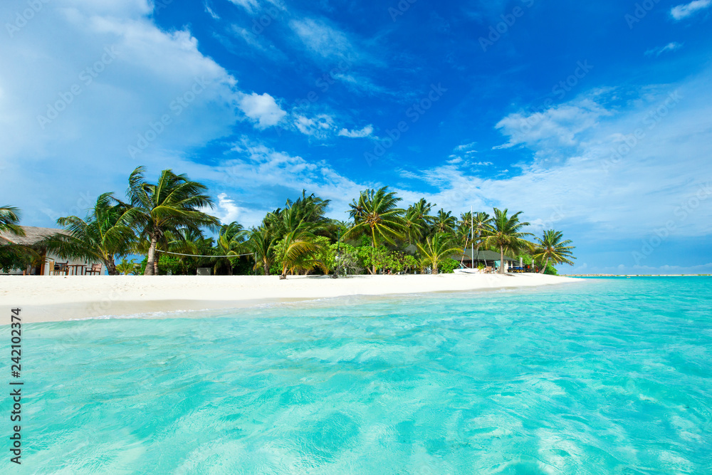 Fototapeta tropikalna wyspa Malediwów z białą piaszczystą plażą i morzem