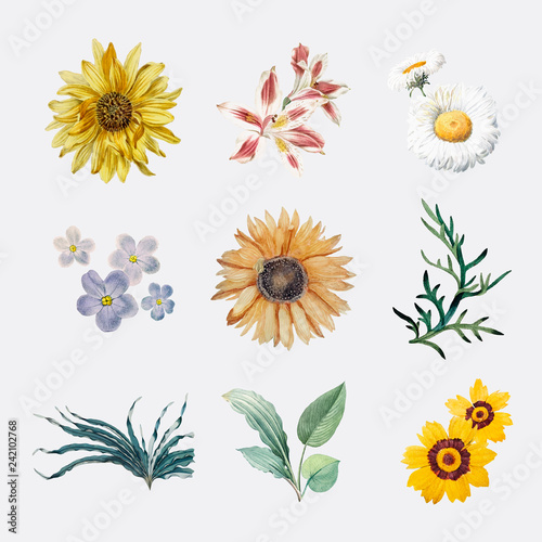Flowers in bloom