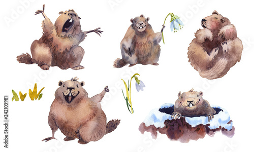 Happy Groundhog Day - hand drawn watercolor collection illustrations character card groundhog