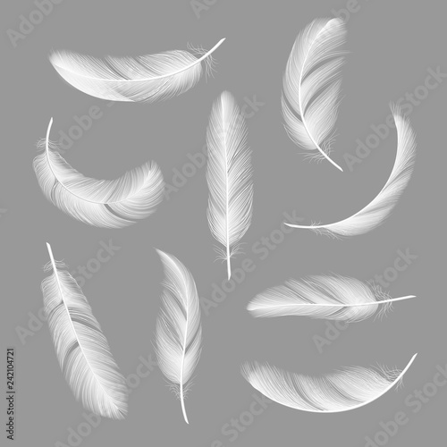 Feathers realistic. Flying furry weightless white swan objects vector isolated on dark background. Feather white flying and falling illustration