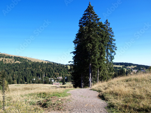 Schwarzwald Landschaft. Wanderweg vom Felberg nach Gipfel des Herzogenhorns photo