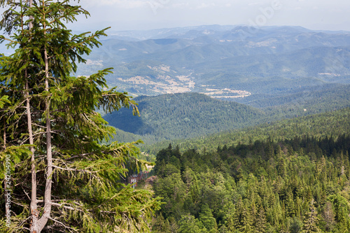 Jahorina mountain landscape during summer photo