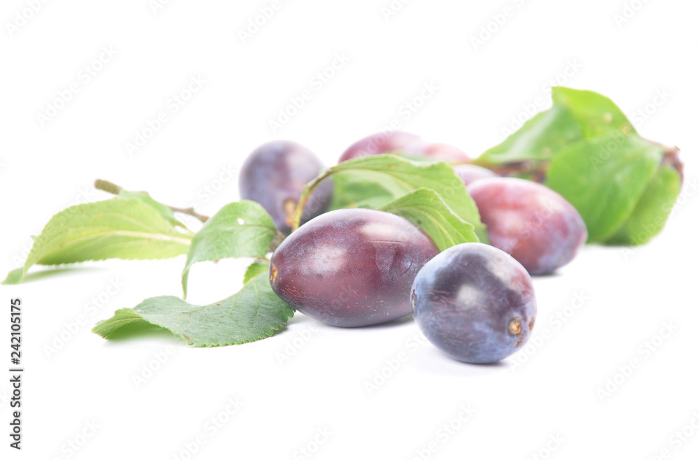 Obraz premium Zwetschgen mit Zweig und Blättern auf weiss