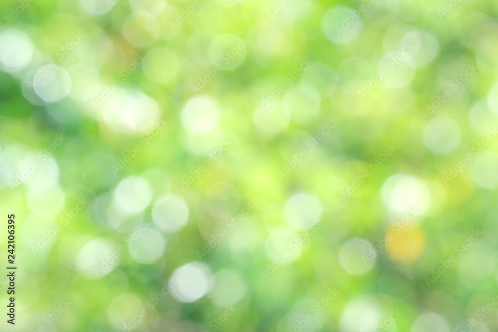 Sunlight green bio background, abstract blurred foliage sun light. Organic design nature abstract background with copyspace for text advertising design. Blur nature image in sunshine and bokeh effect Sunlight green bio background, abstract blurred foliage sun light. Organic design nature abstract background with copyspace for text advertising design. Blur nature image in sunshine and bokeh effect