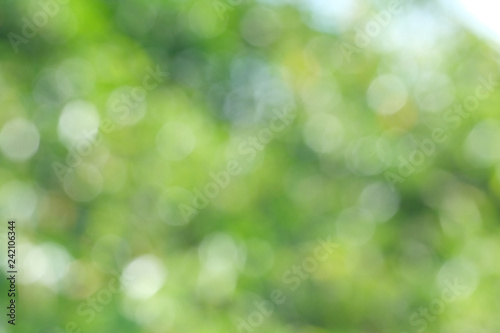 Green bio background, abstract blurred foliage bright sunlight. Organic design nature abstract background with copyspace for text advertising design. Green abstract light background and bokeh effect