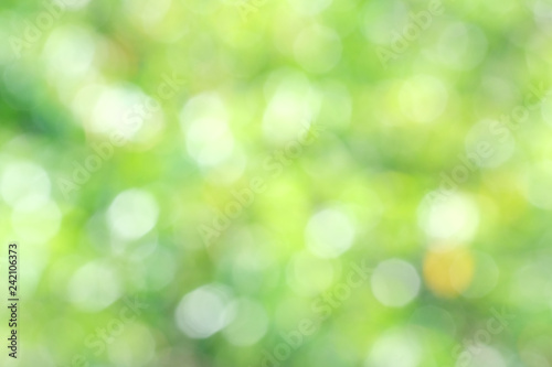 Defocused abstract nature background with green leaves and bokeh lights. Royalty high-quality free stock image of natural blurred bokeh background from leaf and tree
