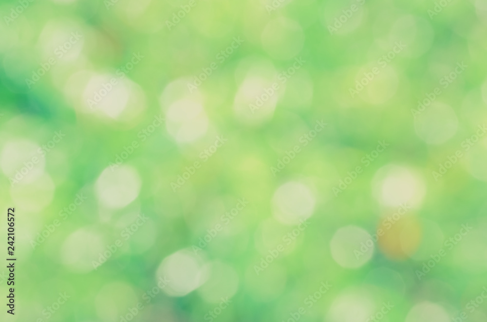 Green bio background, abstract blurred foliage bright sunlight. Organic design nature abstract background with copyspace for text advertising design. Green abstract light background and bokeh effect Green bio background, abstract blurred foliage bright sunlight. Organic design nature abstract background with copyspace for text advertising design. Green abstract light background and bokeh effect