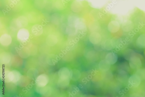 Green bio background, abstract blurred foliage bright sunlight. Organic design nature abstract background with copyspace for text advertising design. Green abstract light background and bokeh effect