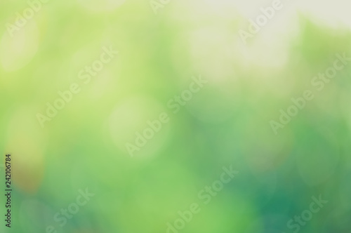 Green bio background, abstract blurred foliage bright sunlight. Organic design nature abstract background with copyspace for text advertising design. Green abstract light background and bokeh effect