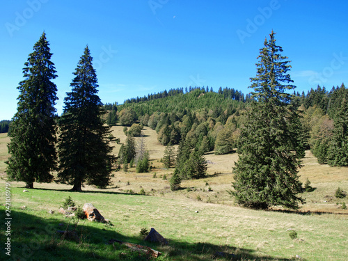 Schwarzwald Landschaft. Wanderweg vom Felberg nach Gipfel des Herzogenhorns photo