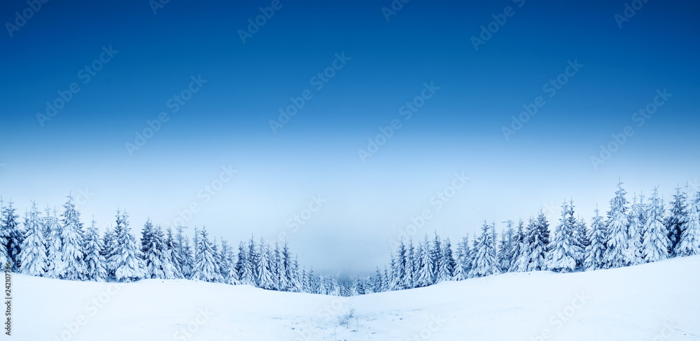 winter landscape of snow and blue sky 