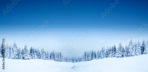 winter landscape of snow and blue sky  © magdal3na