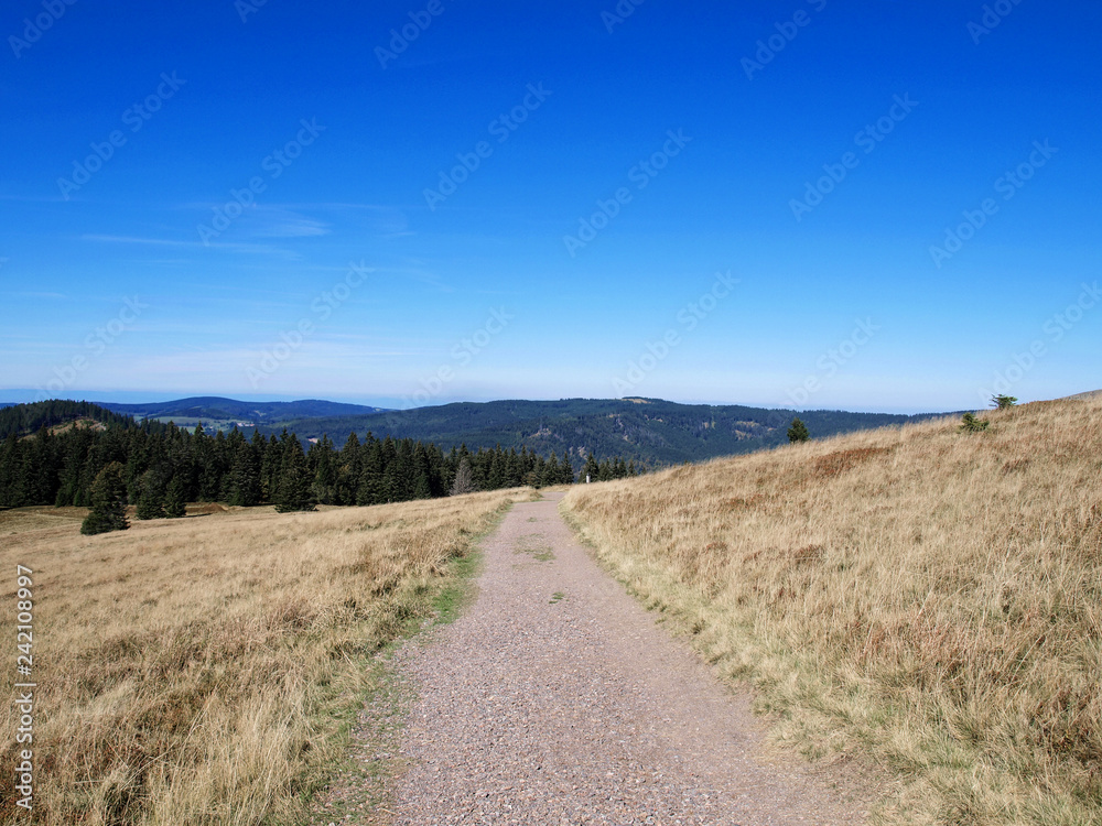 Schwarzwald. Blick auf dem Gipfel des Herzogenhorns