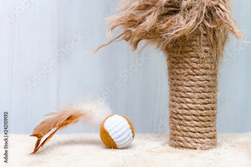 used cat scratching post and cat toy ball with feathers on white background
